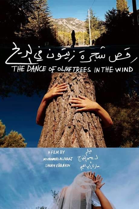 The Dance of Olive Trees in the Wind